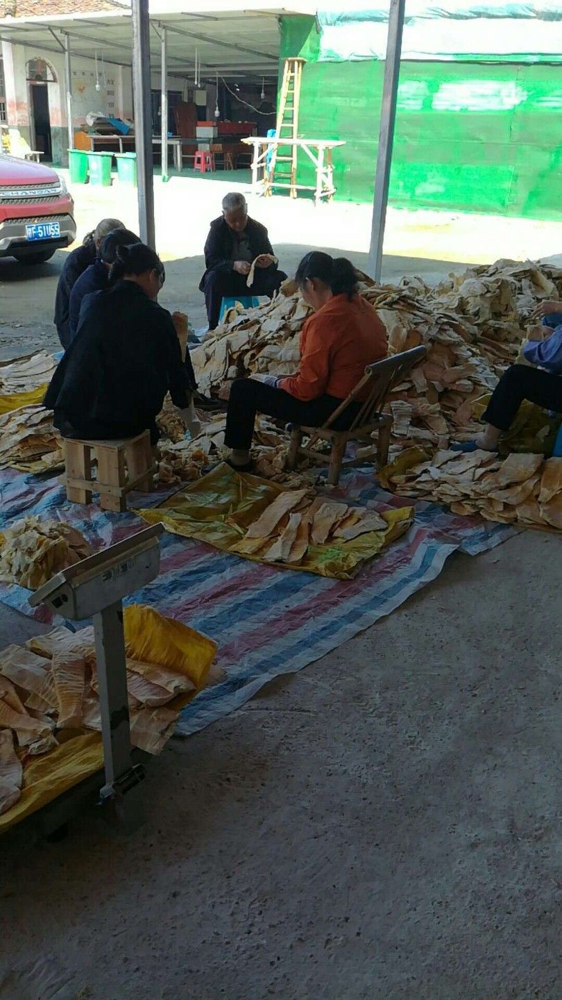 笋干  高山嫩笋尖〈德胜镇吕不韦生态笋业〉产地直供
