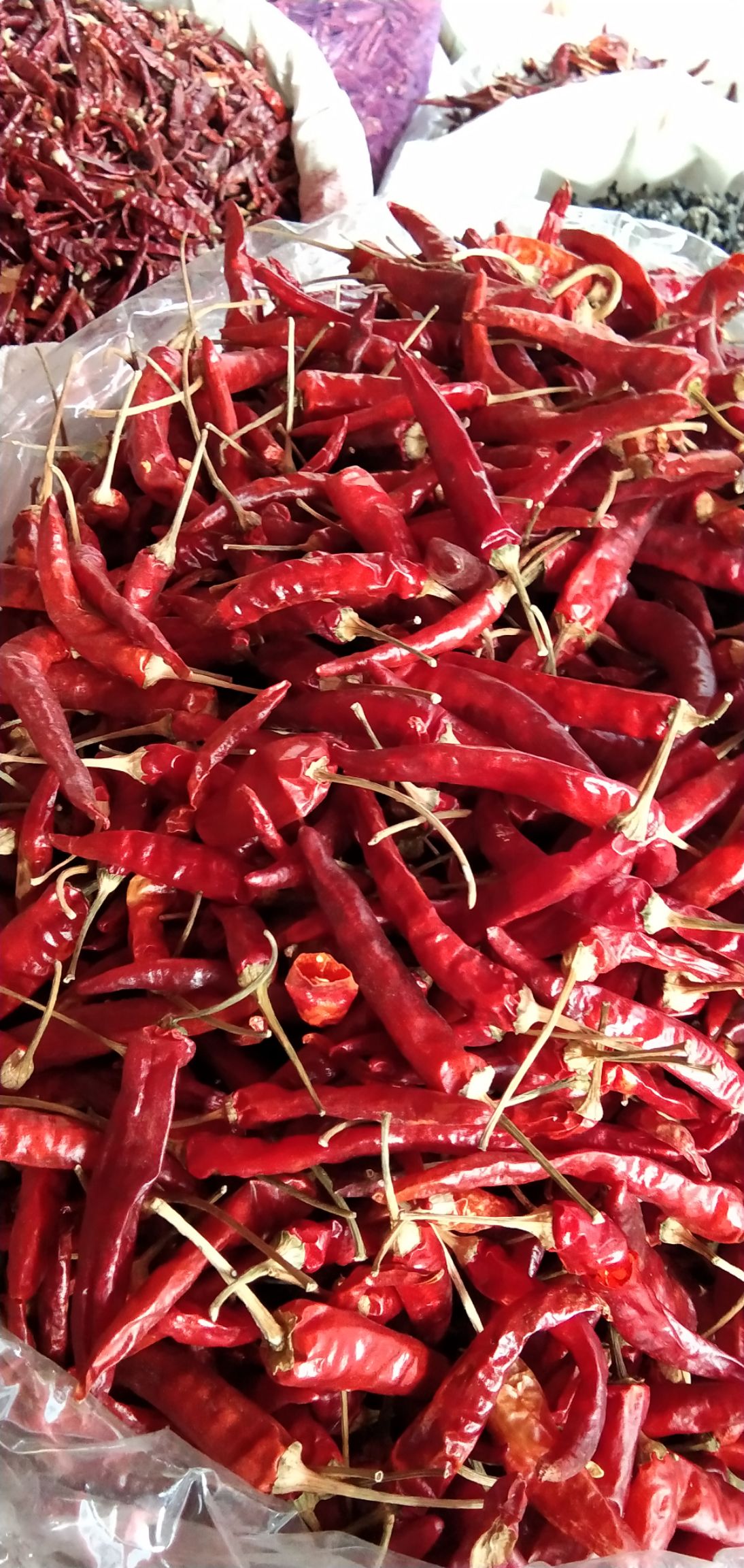 79辣椒 10~15cm 中辣 红色