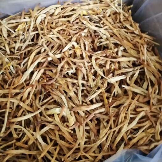 广州大荔黄花菜 西北新菜，无硫菜