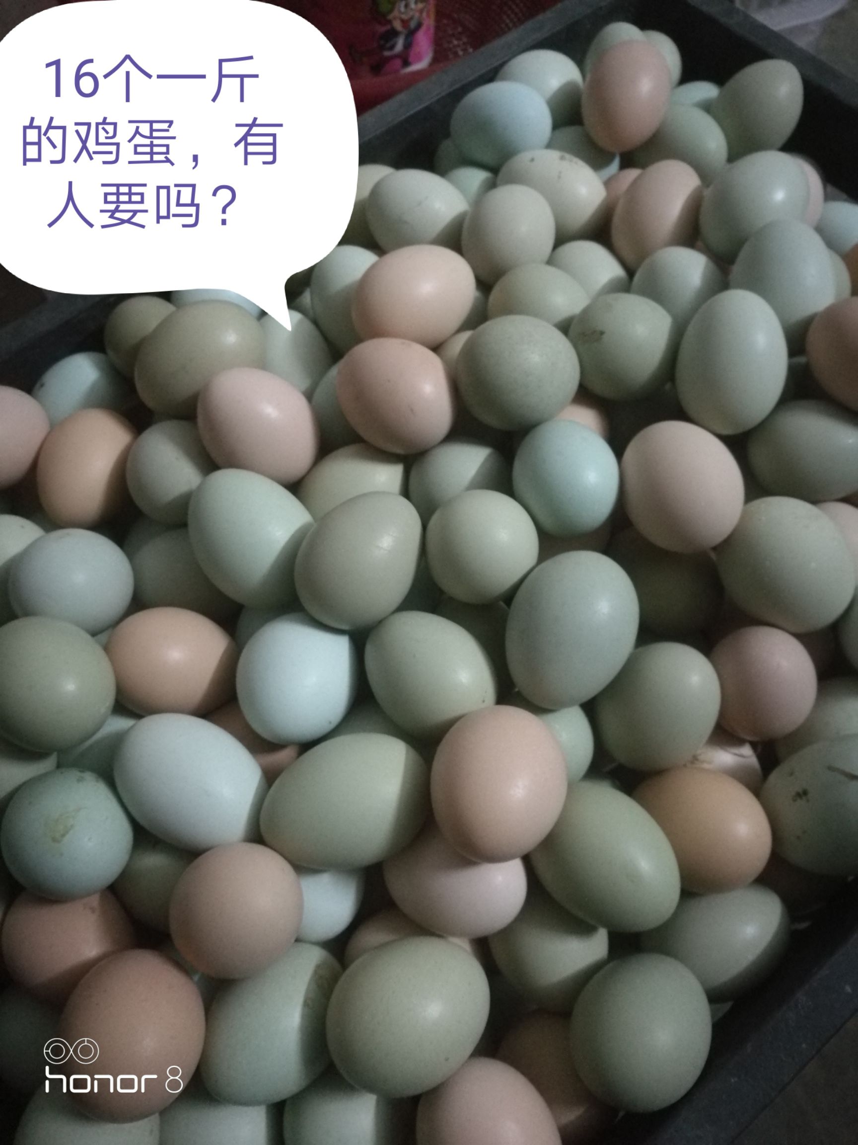 山林散养土鸡蛋