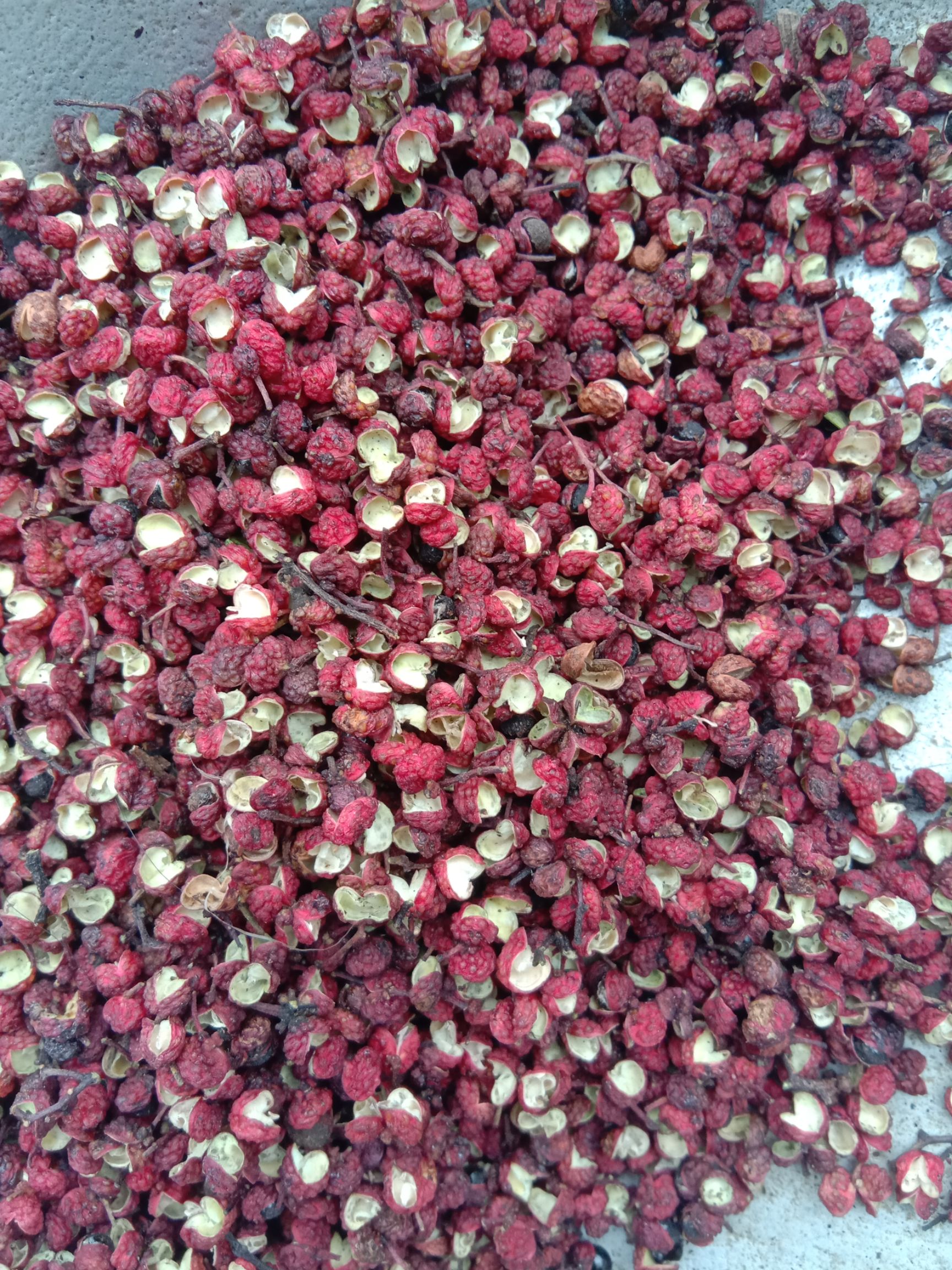 汉源县汉源花椒 一级 干花椒