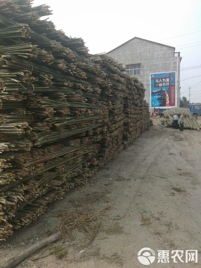  货源地直发1.5米2.2米3米菜架竹竿4-8米大棚竹杆