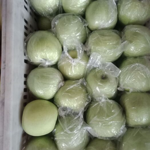 新泰市金帅苹果 65mm以上 翠绿 纸+膜袋