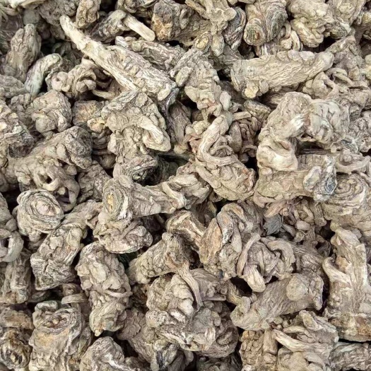 临洮县岷当归  创皮各种规格当归头需要的亲们随时联系
