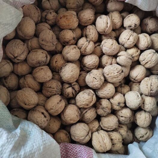 赞皇县 赞皇县正宗薄皮核桃，是之佳品，送礼就送薄皮核桃