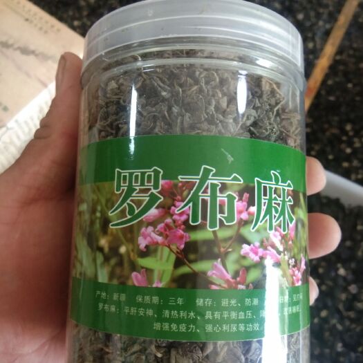 尉犁县罗布麻叶  新疆尉犁县罗布麻茶叶。