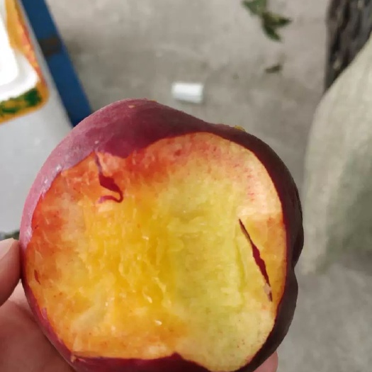 平邑县黑桃苗 假一赔万，苗不纯，包三年损失，可带合同