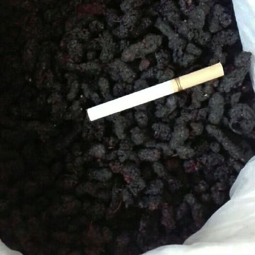 西安桑葚干 食品级. 大.甜 好货
