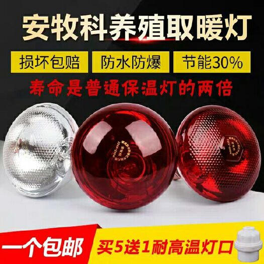 乐清市增温器  加厚畜牧保温灯泡 防水防爆红外线仔猪灯泡 养殖取暖灯泡兽用灯