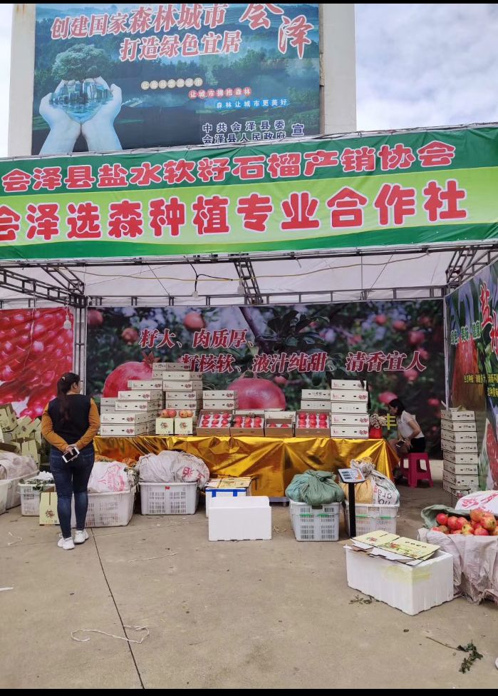 突尼斯软籽石榴 0.8 - 1斤