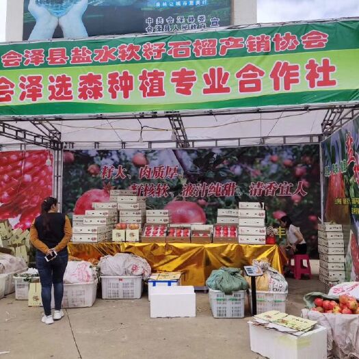 会泽县突尼斯软籽石榴 0.8 - 1斤