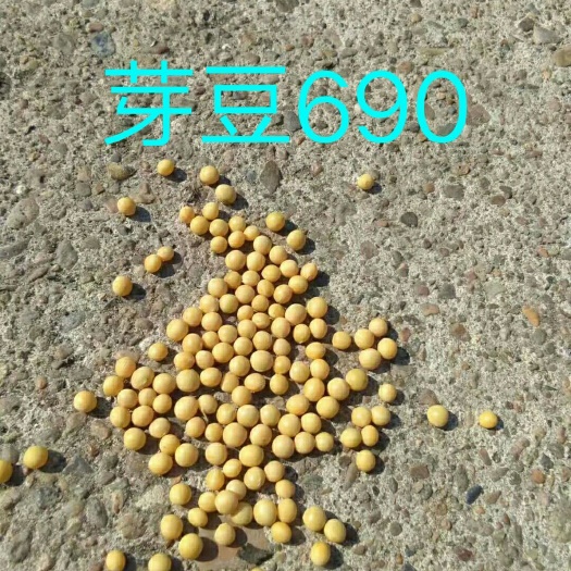 芽豆690