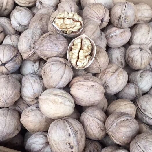 薄皮核桃  恩菲供应新疆185核桃 纸皮核桃支持一件代发