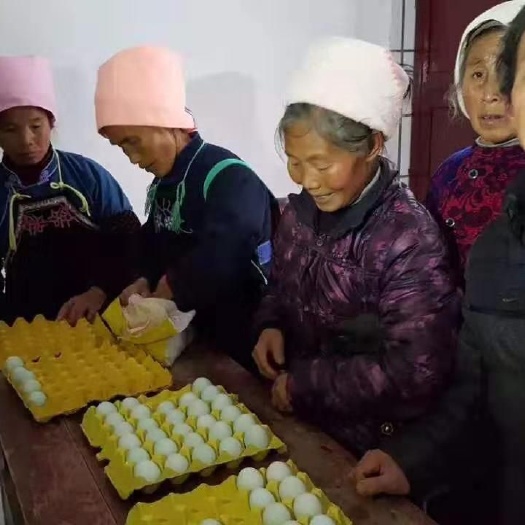 长顺县 贵州绿壳鸡蛋，高营养