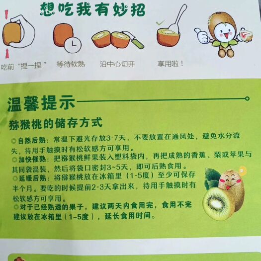 永顺县 湘西猕猴桃