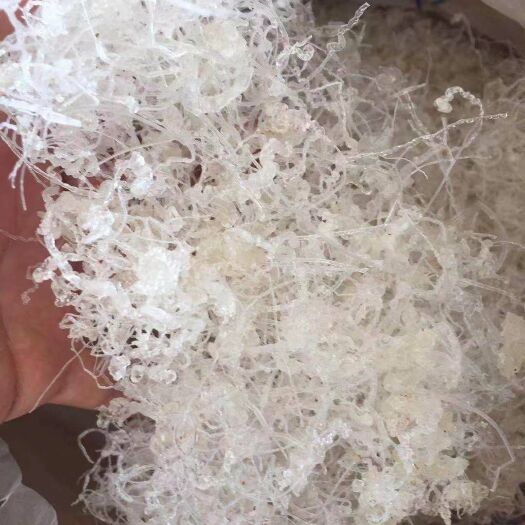 文山市雪燕 散装 12-18个月