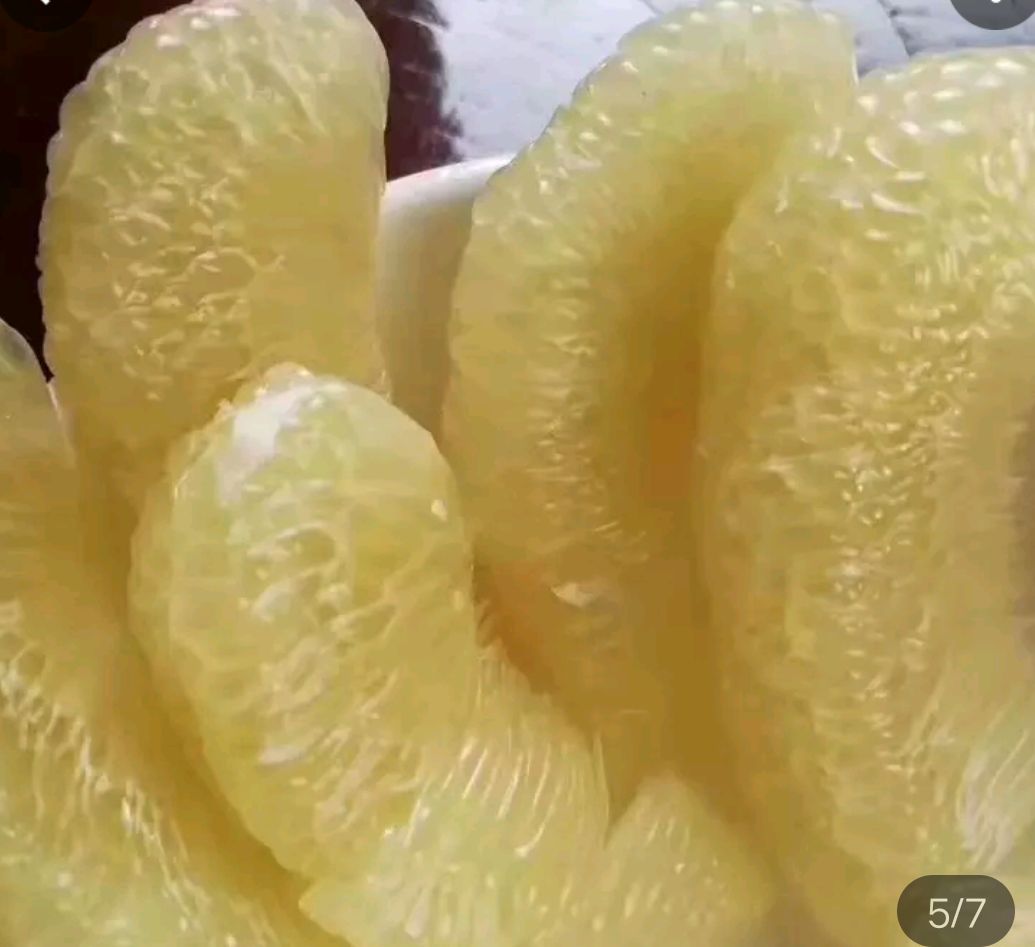 黄金柚 西双版纳傣柚