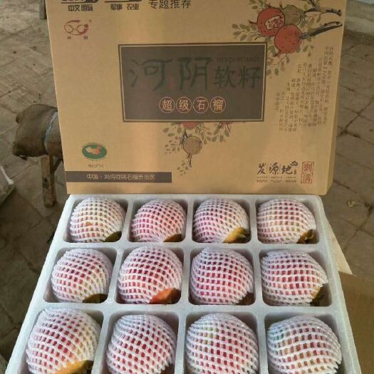 荥阳市 突尼斯软籽石榴产地直销