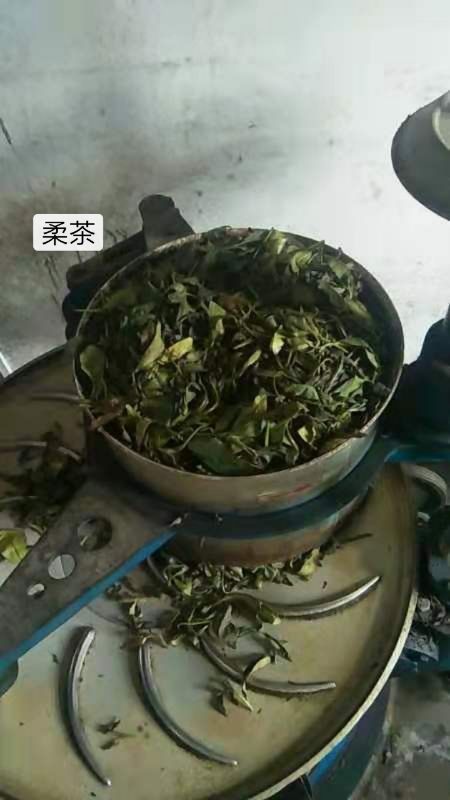 单丛茶  茶农自产茶，高山，老树，找合作伙伴，代发货商，有兴趣的加我v