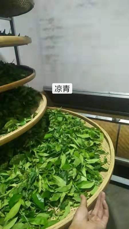 单丛茶  茶农自产茶，高山，老树，找合作伙伴，代发货商，有兴趣的加我v