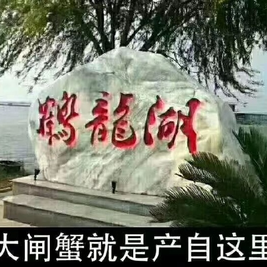 湘阴县大闸蟹