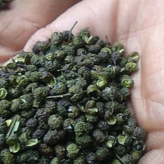 昆明麻椒  青花椒