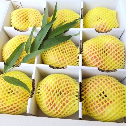 泰安黄金蜜蟠桃 6两以上