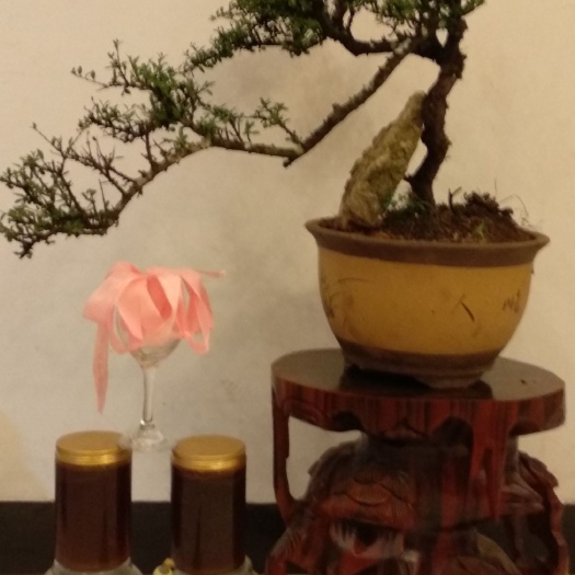 陆良县 添福山药材基地纯野生蜂蜜
