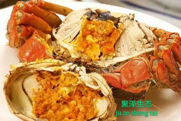 鱼台县微山湖六月黄正38规格  大量批发  源头直发  质量好