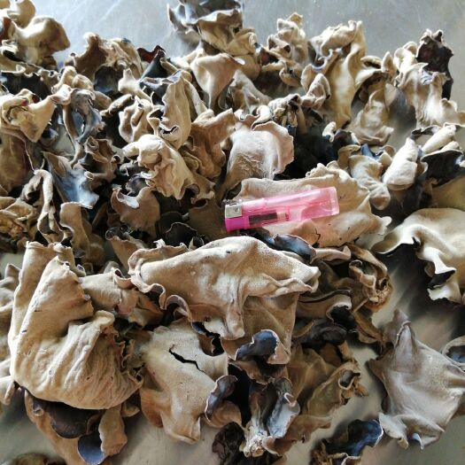 鱼台县毛木耳 干木耳 特级