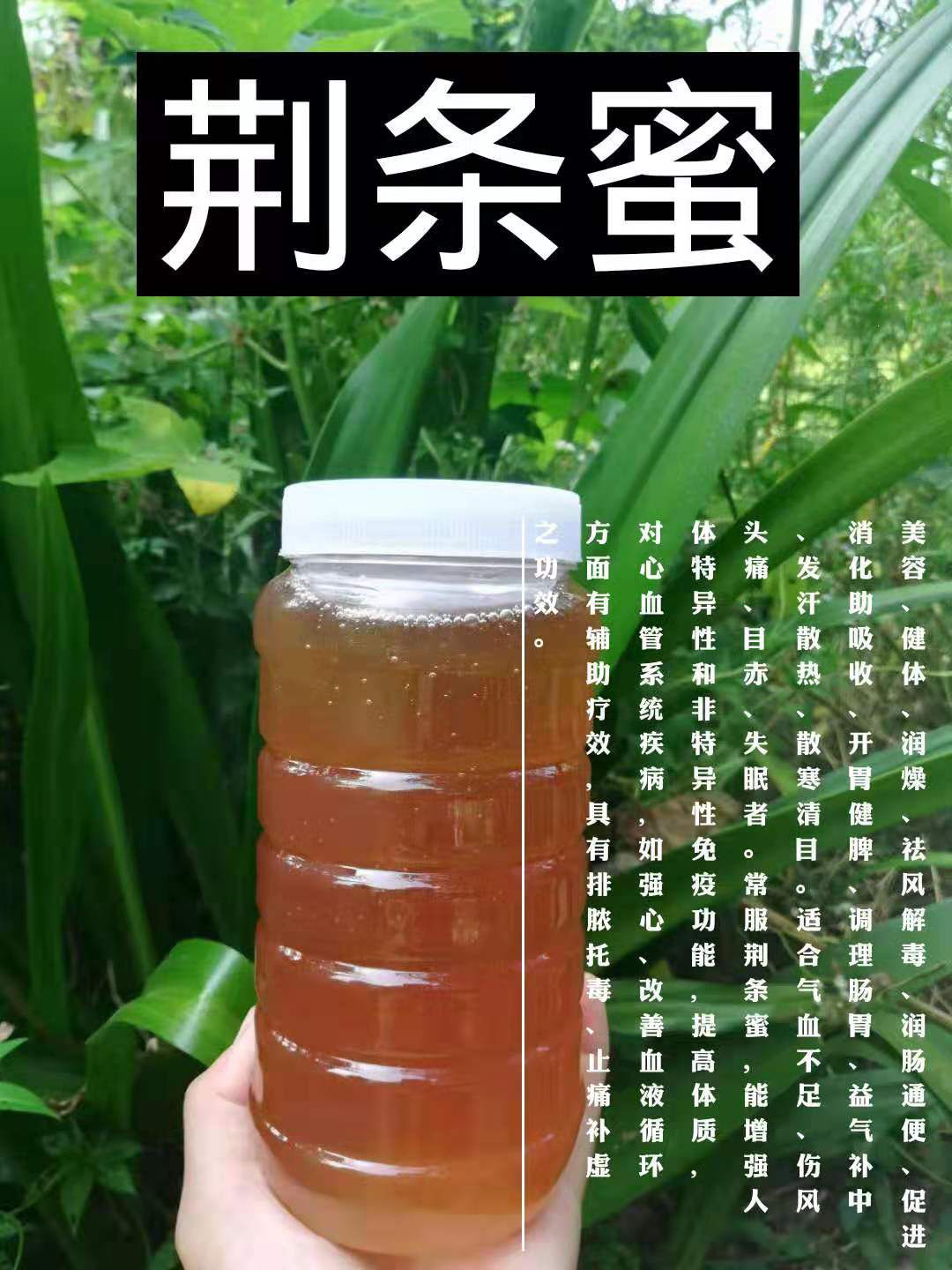 南雄市天然草地 天然密峰