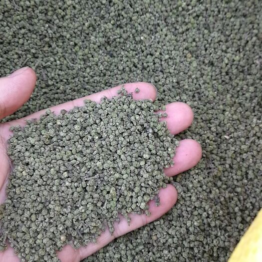 漯河吴茱萸