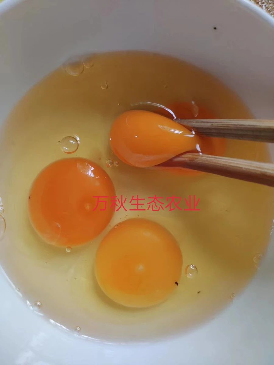  皖南农家土鸡蛋