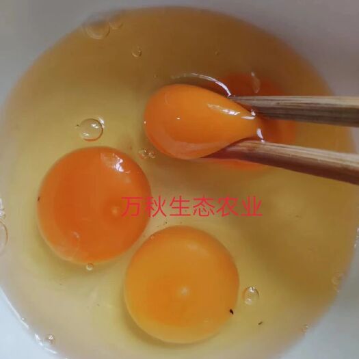 太湖县 皖南农家土鸡蛋