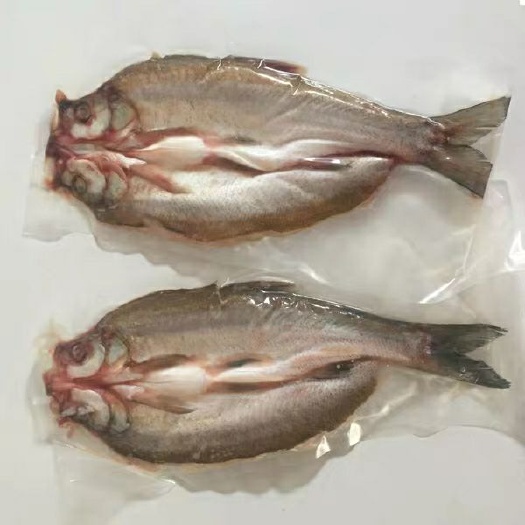 冷冻巴沙鱼 白鱼新鲜冷冻