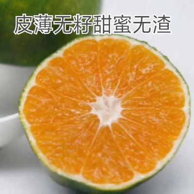 枝江市特早蜜桔 特早蜜橘 皮薄无籽 产地直销 诚信经营