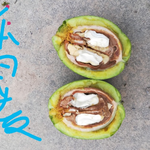 黄龙县 大量供应香玲青皮核桃