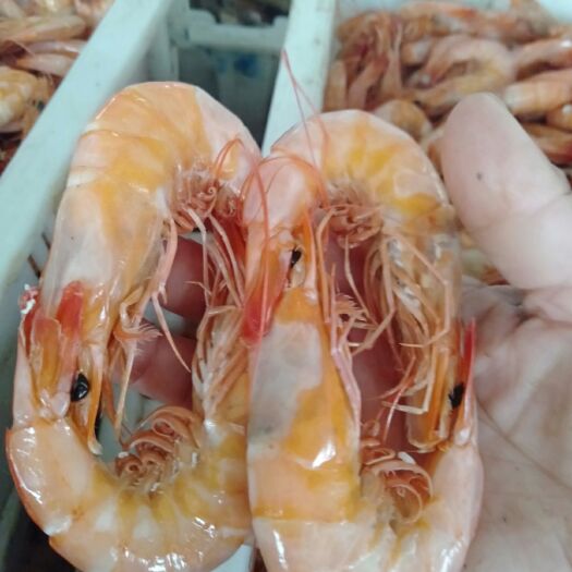 滨州冻海虾 正综的海虾，渤海湾里的对虾，肉厚味鲜。
