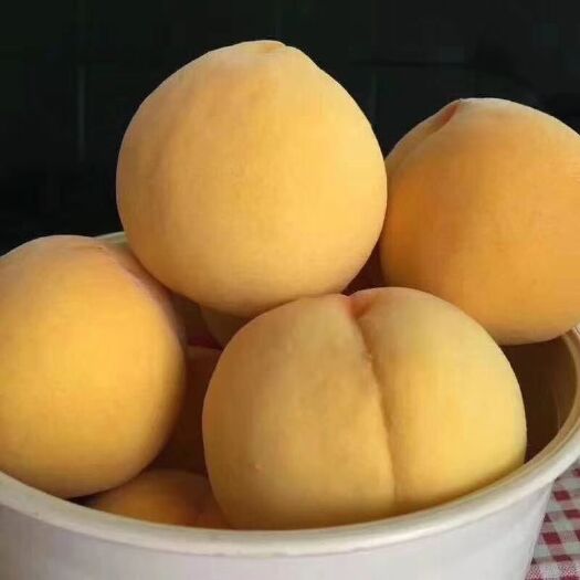武功县 黄金黄桃