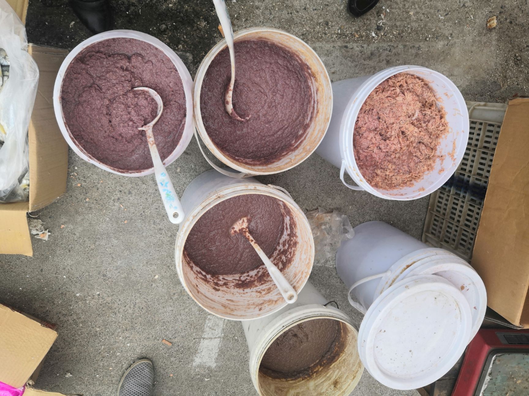 鲜虾酱 淡盐虾酱 量大