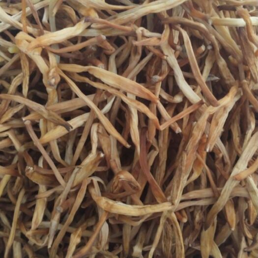 祁东县祁东黄花菜 2020新菜“孟子花”条形大，质量好