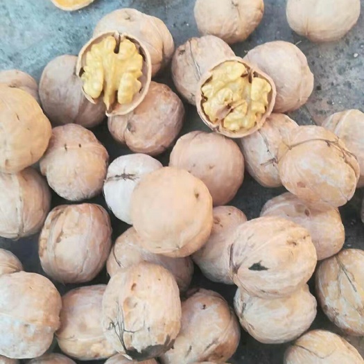 汾阳市 薄皮核桃