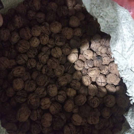 景东县纸皮核桃 20mm以上 去皮 散装