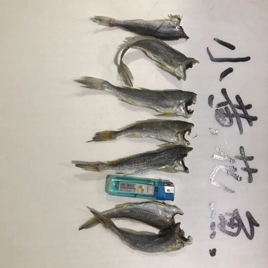 广州黄鱼干 