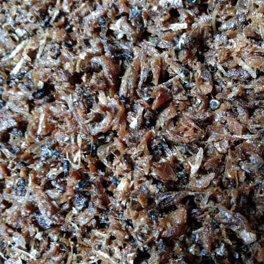 海兴县蛋白质饲料鱼渤海湾鱼干油鱼肉饲料用可喂蛋鸡蛋鸭母猪猪仔干度好