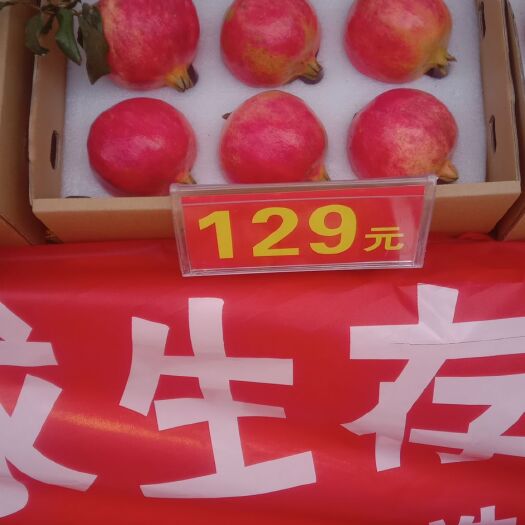会泽县红如意软籽石榴 合作社直卖