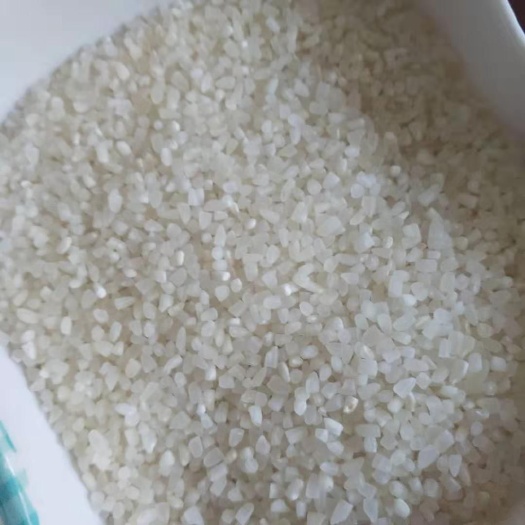 晋州市碎米 熬粥清香 酿酒出产率高