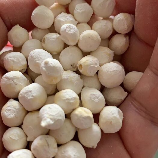 苏州 苏州正宗鸡头米干货南荡芡实苏芡自家种2019新货