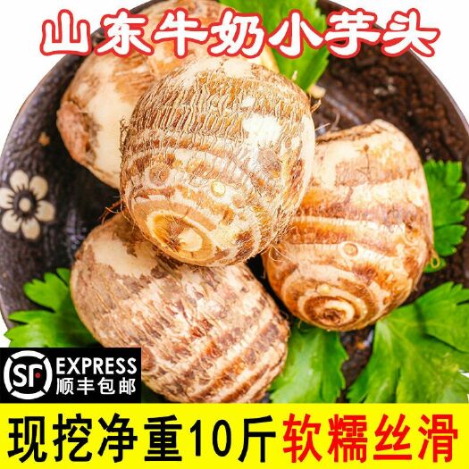 济宁 19年芋头山东新鲜小芋头毛芋头香芋农家自种芋头芋艿10斤包邮