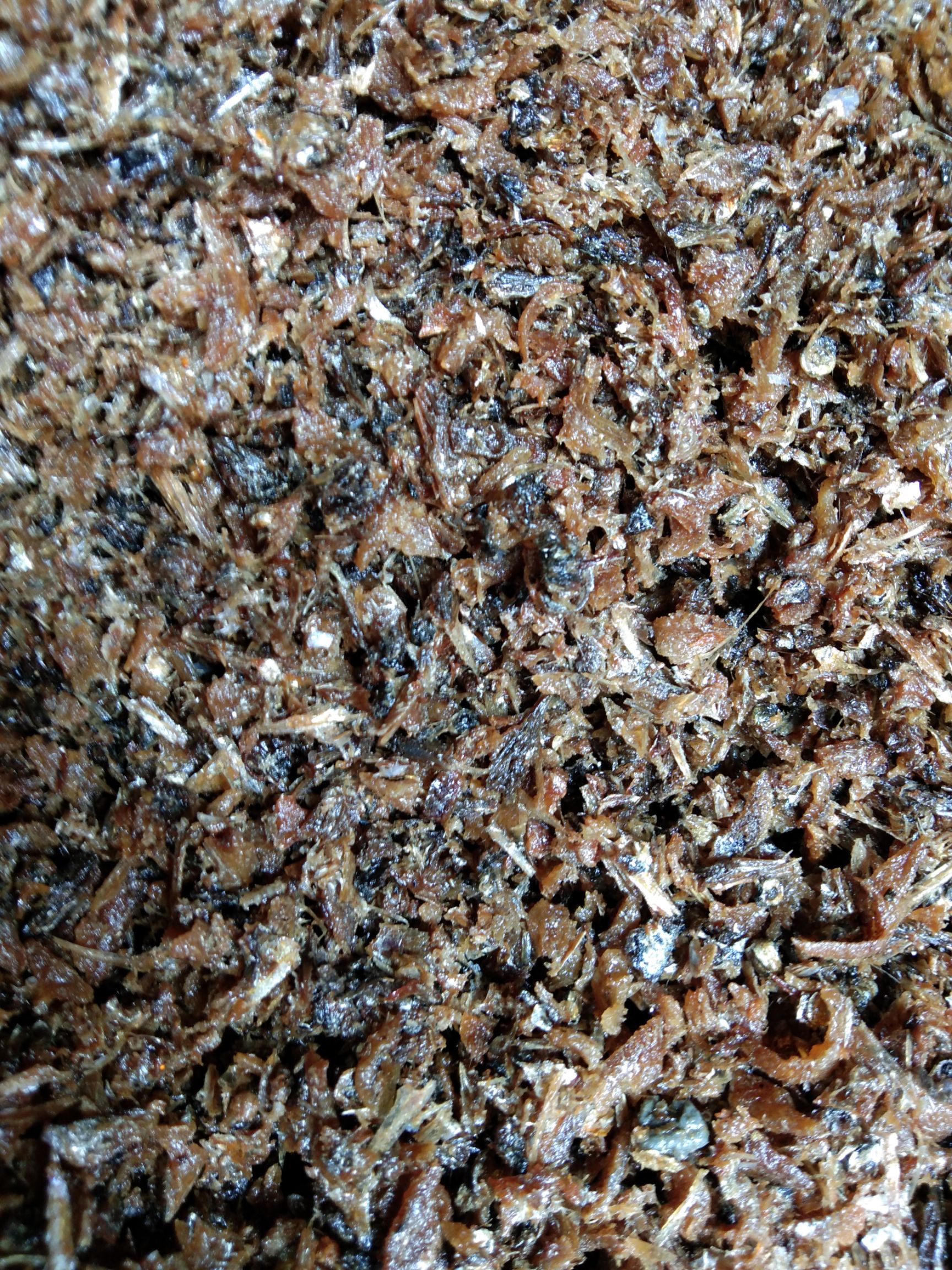 蛋白质饲料鱼渤海湾鱼干油鱼肉饲料用可喂蛋鸡蛋鸭母猪猪仔干度好
